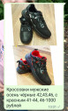Brat8270