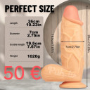 POTENCIJA-EREKCIJA