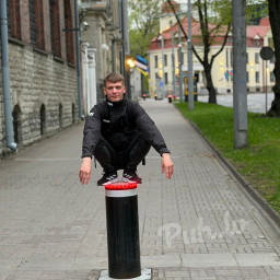 Andis Podziņš, 29