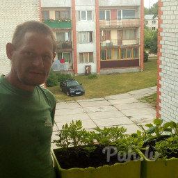 vippuika, 39